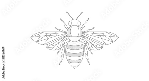 Line art illustration of a bee in flight