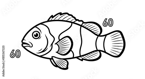 Simple Fish Line Art Illustration