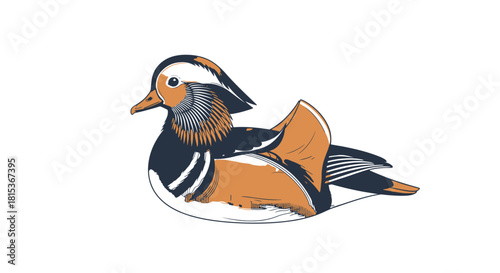 Mandarin Duck Vector Illustration