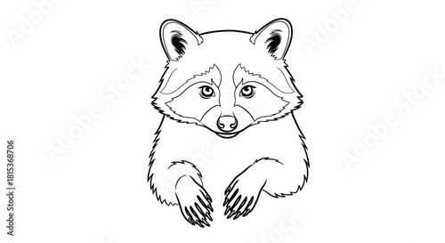 Adorable Raccoon Dog Line Art Illustration