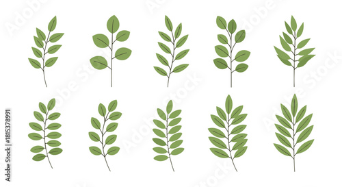 A collection of ten simple green botanical branches with leaves perfect for minimalist nature-themed designs.