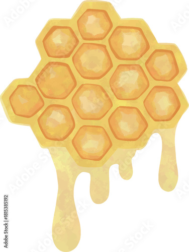 Honeycomb with Dripping Honey – Watercolor Honey Illustration