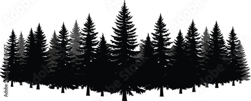Black and gray vector silhouette illustration of a dense coniferous pine forest, suitable for nature landscapes, outdoor backgrounds, wilderness scenes, and graphic design.