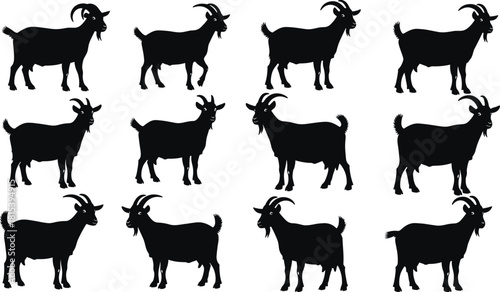 goat silhouettes, animal shapes, black vector, side profile, horn variation, grid layout, wildlife icon, technical sketch, flat