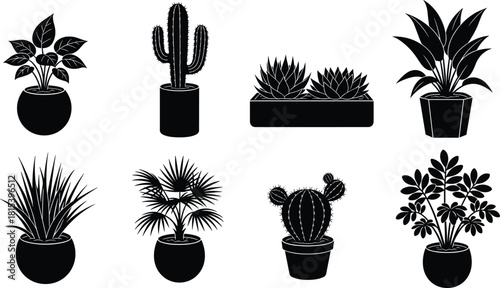 Black, white silhouette houseplants collection, potted indoor succulent plants, cactus, tropical decorative foliage, botanical elements for home, office decor vector.