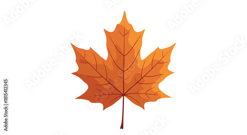 An orange maple leaf with visible veins and a stem on a white background.