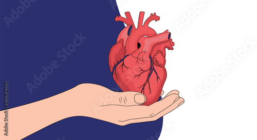 Hand holds a stylized red heart, symbolizing donation or care in a modern illustration.