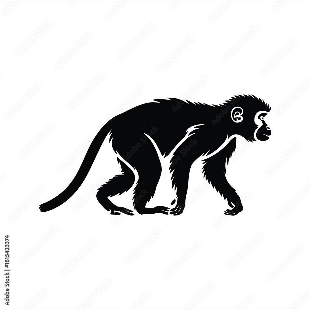 Fototapeta premium Monkey Icon – Wild Animal Monkey Silhouette Vector