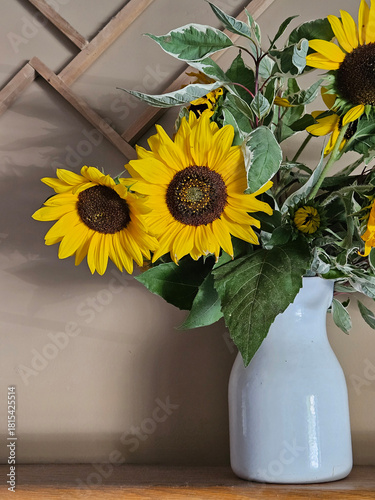 Bright and cheerful yellow sunflowers arranged in a white vase in front of a beige wall.