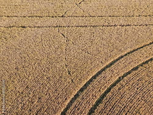 Aerial image from a drone point of view looking down on the tracks in a gold colored agricultural field.
