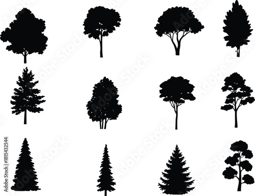 Vector collection of black tree silhouettes, forest nature icons set, pine, oak and fir isolated shapes, landscape design elements.