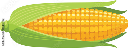 Graphic illustration of a partially husked ear of corn on a clean white background.