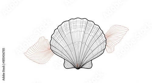 An elegant and artistic illustration of a seashell drawn in a detailed line art style with abstract wavy lines in the background.