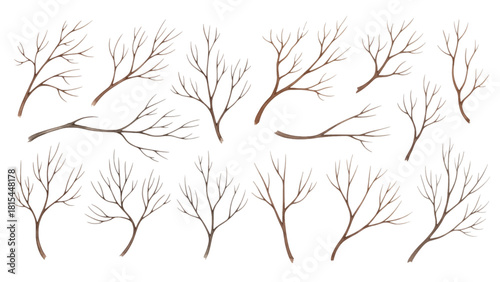A collection of hand-drawn, leafless tree branches, isolated on a transparent background for design.