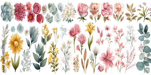 Collection of delicate watercolor floral illustrations featuring roses tulips and various botanicals