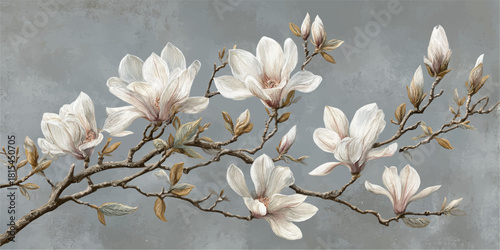 Delicate white magnolia blossoms on a branch with soft focus background