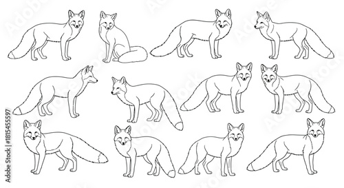 Elegant fox outlines, perfect for coloring books and woodland themed designs