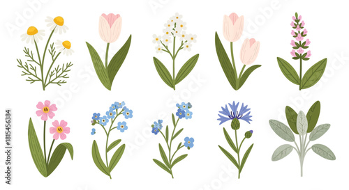 Cute floral collection displaying wildflowers and herbs for spring designs
