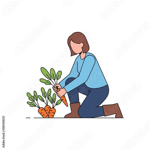 Woman Harvesting Fresh Carrots from Garden, Agriculture and Healthy Eating