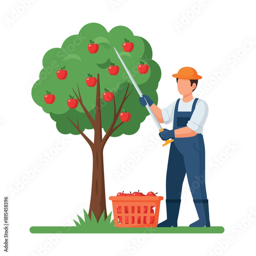 Harvesting Apples Orchard Worker Gathering Fresh Fruit