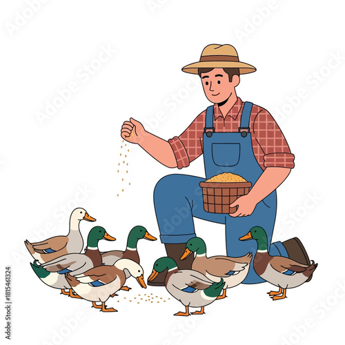 Farmer Feeding Ducks with Grain Rural Life and Animal Care Illustration