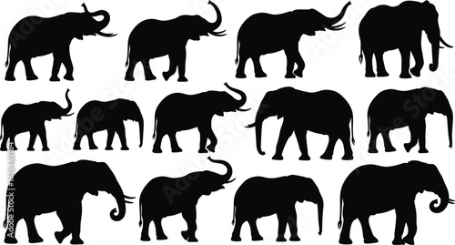 Set of twelve black elephant silhouettes standing and walking with trunks up, isolated on white background, vector illustration collection for wildlife and safari concepts.