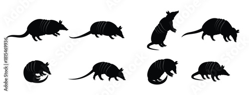 armadillo silhouette vector 