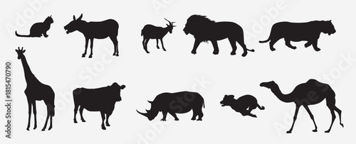 Set of animals vector illustration