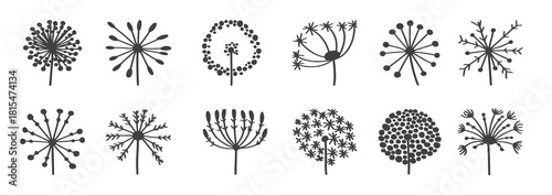blowball icons vector 