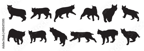 bobcat silhouette set