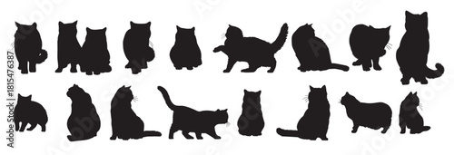 british shorthair silhouette set 