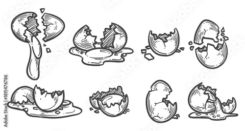 broken egg icons vector