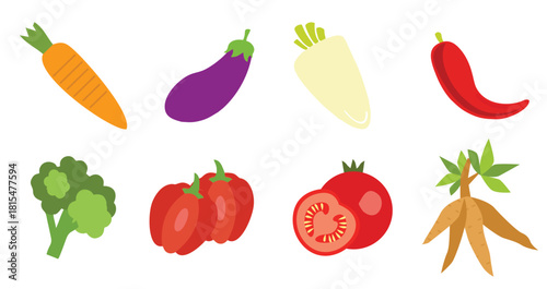 Cassava Vector illustration