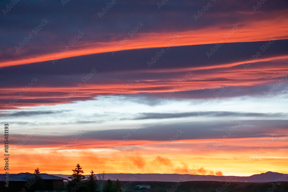 Obraz premium Young mule deer foraging on dry brush in a rocky Wyoming landscape at dusk