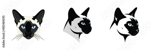 Set of Siamese Cat Heads in Different Angles and Styles
