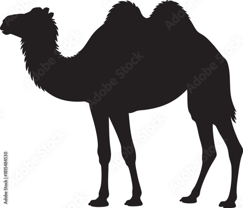 A stark black silhouette of a dromedary camel with one hump is depicted against a clean white backdrop.