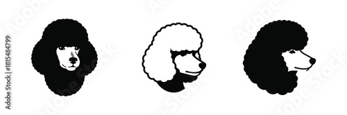 Stylized vector illustrations of three distinct poodle dog heads, highlighting grooming diversity