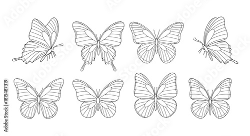 Collection of eight black and white line drawings of butterflies in various poses and styles.
