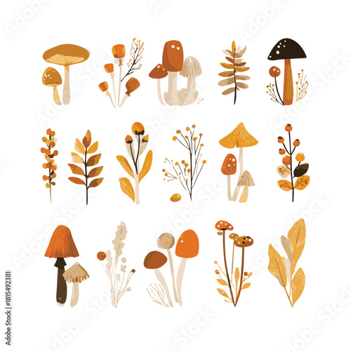 Autumn Leaves, Mushrooms, and Berries – A Seasonal Set Featuring Fly Agaric, Toadstools, Edible Mushrooms, Berries, Maple Leaves, Acorns, and Dried Herbs. Vector Illustration.