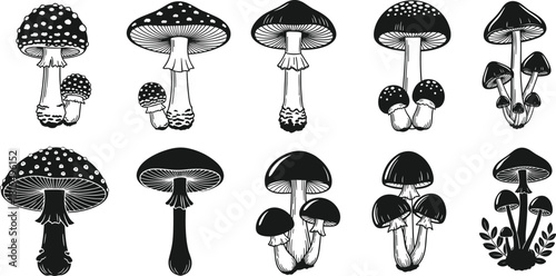 Set of hand drawn mushroom illustrations, vintage style fungi collection, botanical toadstool icons, forest nature plants, cad drawing flat vector illustration.