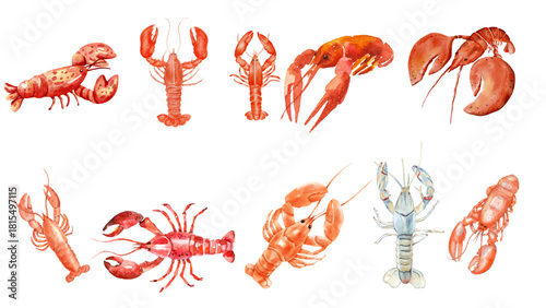 Collection of Watercolor Lobster Illustrations Aquatic Crustaceans for Seafood and Culinary Design