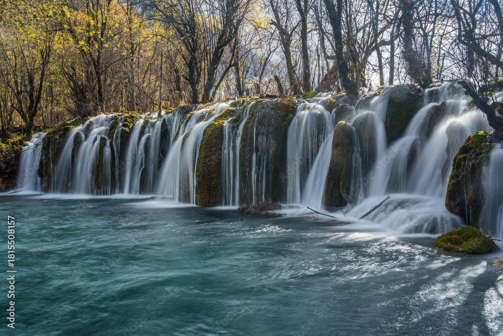 Fototapeta premium Jiuzhaigou Arrow Bamboo Lake Waterfall close-up