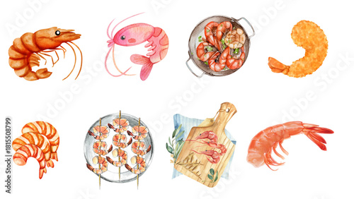 A delightful watercolor collection showcasing a variety of fresh and perfectly cooked shrimp and prawns, ideal for culinary inspiration, seafood menus, and gourmet food preparation concepts
