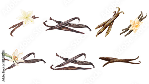 A diverse collection of watercolor illustrated ceramic plates featuring traditional, rustic, and modern designs isolated on a white background