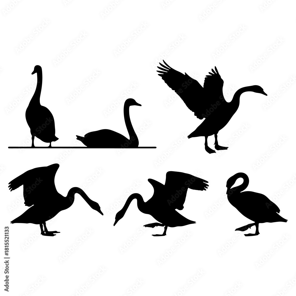 Obraz premium Elegant Swan and Goose silhouette vector set swimming and standing illustration.