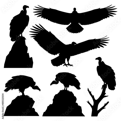 Scavenger Vulture silhouette vector set, bird of prey on rock illustration.