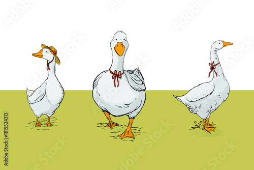 Three white geese with red ribbons standing on a green field against a clean white background, drawn in a hand-illustrated style, suitable for prints, packaging, cards and decorative farm-themed