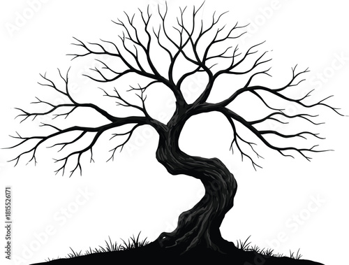 Ancient twisted tree silhouette on white background, detailed old tree with branches, natural forest element, dark nature illustration design