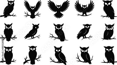 Owl silhouette vector set, flying and perched poses, black owl icons, wildlife bird graphics for nature, forest, nocturnal, and design themes