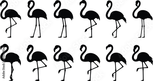 Flamingo silhouettes, standing on one leg, black bird shapes, wildlife vector collection, tropical wading bird design, elegant nature pose elements